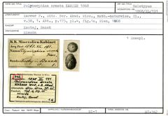 Karteikarte zum Holotyp von Polymorphina ornata Karrer, 1868